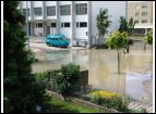 DSC05154.jpg