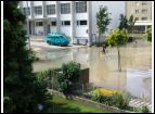 DSC05155.jpg