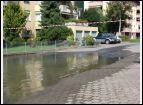 DSC05158.jpg