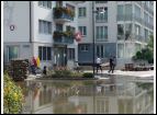 DSC05496.jpg