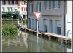 DSC00270.jpg