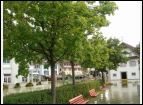 DSC00289.jpg