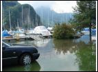 DSC00290.jpg
