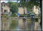 DSC00292.jpg