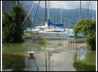 DSC00295.jpg