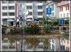 DSC05486.jpg