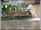 DSC05507.jpg