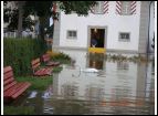 hochwasser 23 8 05  2. serie 019.jpg
