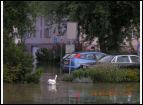 hochwasser 23 8 05  2. serie 021.jpg