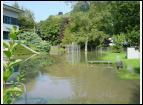 DSC00067.jpg