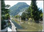 DSC00266.jpg