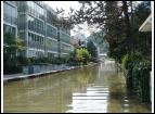 DSC00301.jpg
