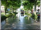 DSC00046.jpg