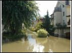 DSC00261.jpg