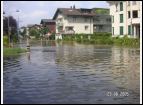 PICT0019.jpg