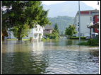 DSC00044.jpg