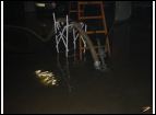 DSC00036.jpg