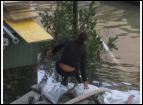 Unwetter 2005_0105.jpg