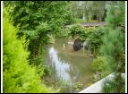 DSC00075.jpg