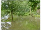 DSC00076.jpg