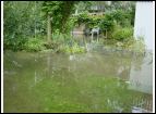 DSC00077.jpg