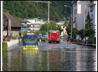 DSC05203.jpg