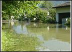 DSC00049.jpg