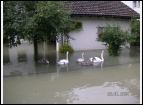 PICT0052.jpg