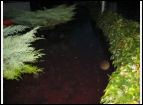 Unwetter 2005_0167.JPG