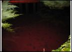 Unwetter 2005_0192.JPG