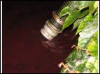 Unwetter 2005_0195.JPG