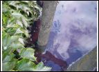 Unwetter 2005_0261.JPG