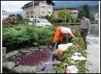 Unwetter 2005_0268.JPG