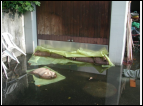 DSCN2866.JPG
