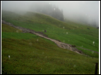 PICT0534.JPG
