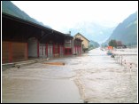 05.JPG