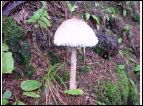 DSC00079.JPG