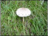 DSC00136.JPG