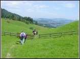 DSC00168.JPG