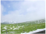 DSC00032.jpg