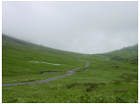 DSC00043.jpg