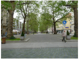 dresden08 065.jpg