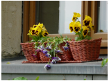 dresden08 117.jpg