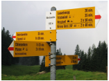 Pikettausflug 2008_0034.JPG