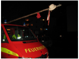 Tannenstellen Pumi0003.JPG