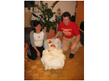 tannenstellen pumi0029_r1.jpg