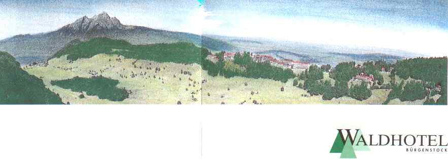 essenwa1.jpg (24752 Byte)