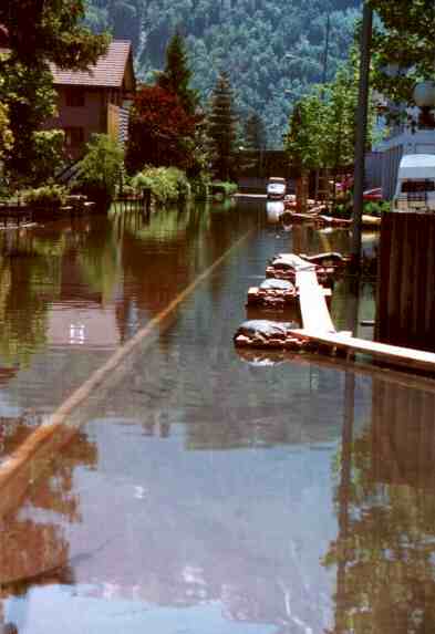 Riedstrasse.jpg (19476 Byte)