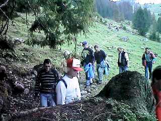 pika9929.jpg (19991 Byte)
