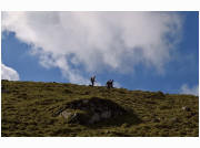herbstwanderung_1718.jpg